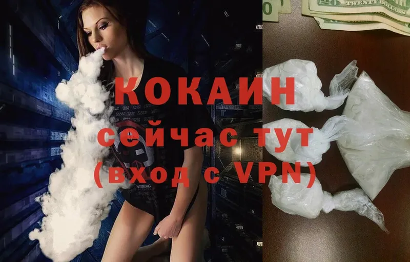 наркотики  Камышлов  COCAIN FishScale 